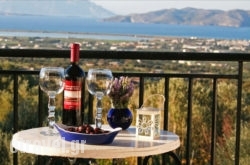 The Olive Branch Villa in Rethymnon City, Rethymnon, Crete