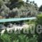 Elena Hotel_best deals_Hotel_Central Greece_Fthiotida_Kamena Vourla