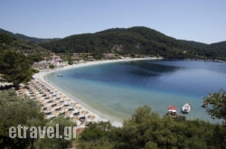 Skopelos Holidays Hotel & Spa in Limenaria, Thasos, Aegean Islands