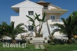 Morfi Apartements in Gavrio, Andros, Cyclades Islands