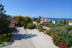 Panorama Studios_travel_packages_in_Ionian Islands_Zakinthos_Zakinthos Rest Areas