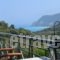 Althea Studios_accommodation_in_Hotel_Ionian Islands_Lefkada_Lefkada Chora