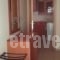 Lihas Studios_best deals_Apartment_Central Greece_Evia_Agios Georgios