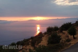 Aeropi_best deals_Hotel_Thessaly_Magnesia_Pilio Area