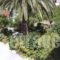 Kokkinos Apartments_best deals_Apartment_Ionian Islands_Corfu_Arillas