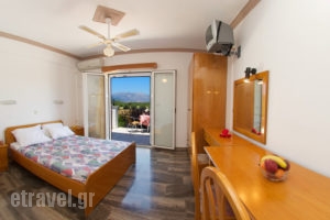 Nikos Studios_holidays_in_Apartment_Ionian Islands_Kefalonia_Sami