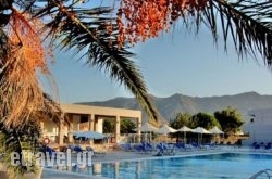 Asteras Resort in Galatas, Chania, Crete