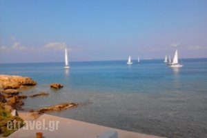 Art Boutique_best prices_in_Room_Piraeus Islands - Trizonia_Agistri_Agistri Rest Areas