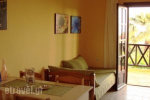 Apartments Karpetis_best prices_in_Apartment_Macedonia_Halkidiki_Psakoudia