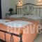 Studios Alsos_holidays_in_Hotel_Cyclades Islands_Naxos_Naxos chora