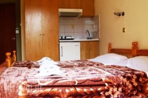 Edelweiss Studios_lowest prices_in_Hotel_Aegean Islands_Thasos_Thasos Chora