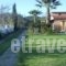 Vasilis Studios_best deals_Hotel_Ionian Islands_Corfu_Corfu Rest Areas