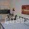 Galini Apartments_best deals_Apartment_Macedonia_Halkidiki_Nea Skioni