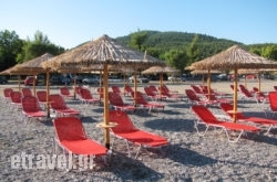 Amarillis in Skala, Kefalonia, Ionian Islands