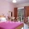 Holidays Pension_best prices_in_Room_Ionian Islands_Lefkada_Vasiliki