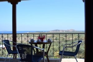 Dimitras House_best prices_in_Hotel_Peloponesse_Arcadia_Astros