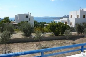 Tsambika's Studios_travel_packages_in_Dodekanessos Islands_Rhodes_Pefki