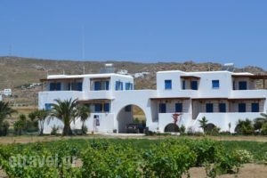 Joanna Apartments_travel_packages_in_Cyclades Islands_Naxos_Naxos Chora