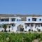 Joanna Apartments_travel_packages_in_Cyclades Islands_Naxos_Naxos Chora