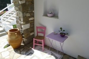 Elena Studios_best prices_in_Hotel_Cyclades Islands_Paros_Piso Livadi