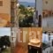 Villa Kim_accommodation_in_Villa_Sporades Islands_Skiathos_Achladies