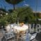 Starvillas_holidays_in_Villa_Ionian Islands_Kefalonia_Aghia Efimia