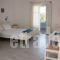 George Guest house_holidays_in_Apartment_Cyclades Islands_Paros_Piso Livadi