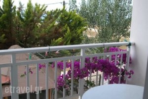 Paschalia Apartments_holidays_in_Apartment_Macedonia_Halkidiki_Psakoudia