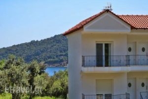 King Studios_accommodation_in_Hotel_Aegean Islands_Thasos_Thasos Chora