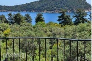 King Studios_best deals_Hotel_Aegean Islands_Thasos_Thasos Chora