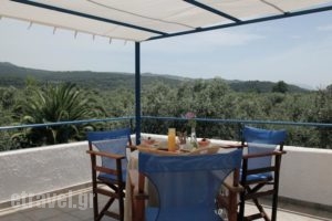 Katerina'S Bungalows_lowest prices_in_Hotel_Central Greece_Evia_Limni