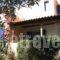 Katerina'S Bungalows_accommodation_in_Hotel_Central Greece_Evia_Limni