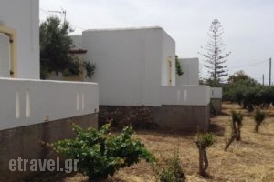 Galaxy Apartments_accommodation_in_Apartment_Cyclades Islands_Antiparos_Antiparos Rest Areas