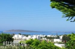 Narkissos Studios in Naxos Chora, Naxos, Cyclades Islands