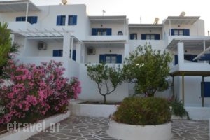 Kostas & Joanna Studios_accommodation_in_Hotel_Cyclades Islands_Paros_Piso Livadi