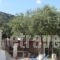 Korina Studios_best deals_Hotel_Ionian Islands_Corfu_Corfu Rest Areas