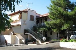 Studios Kalithea_holidays_in_Hotel_Peloponesse_Argolida_Kranidi