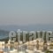 Studios Kalithea_best deals_Hotel_Peloponesse_Argolida_Kranidi