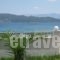 Studios Irini_lowest prices_in_Hotel_Ionian Islands_Lefkada_Lefkada's t Areas