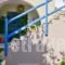 Sea View Apartments & Studios_best deals_Apartment_Cyclades Islands_Naxos_Agia Anna