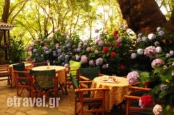 Tasoula Parselia in Naxos Chora, Naxos, Cyclades Islands