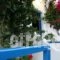 Oasis Apartments_accommodation_in_Apartment_Crete_Chania_Sfakia