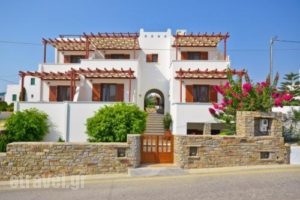 Anthi Studios_lowest prices_in_Apartment_Cyclades Islands_Naxos_Agia Anna