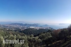 Stathis House in Platania, Magnesia, Thessaly