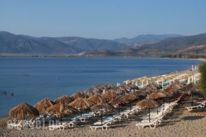 Houdis Houses_holidays_in_Room_Peloponesse_Arcadia_Doliana