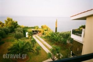 Mezonetes Elena_lowest prices_in_Hotel_Macedonia_Halkidiki_Nea Moudania