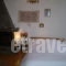 Lakis Rooms_lowest prices_in_Room_Epirus_Ioannina_Papiggo