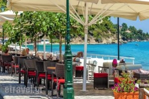 Dolphin Beach Hotel_travel_packages_in_Macedonia_Halkidiki_Kassandreia