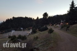 Kapsitsa Forest Village in Nafplio, Argolida, Peloponesse