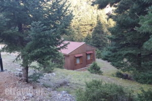 Kapsitsa Forest Village_best deals_Room_Central Greece_Fokida_Amfissa